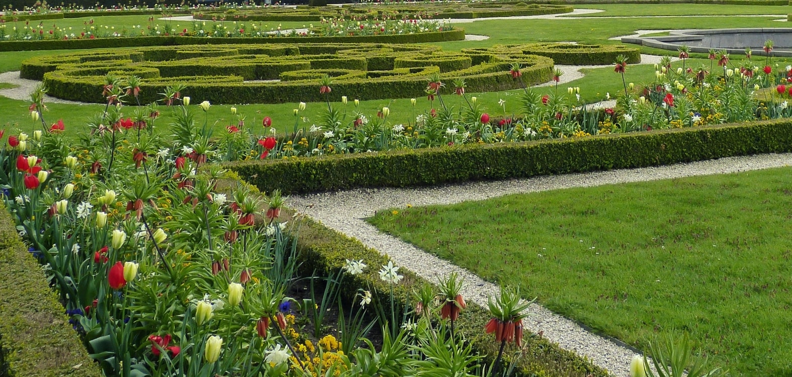 Boxwood border in a French-style garden
