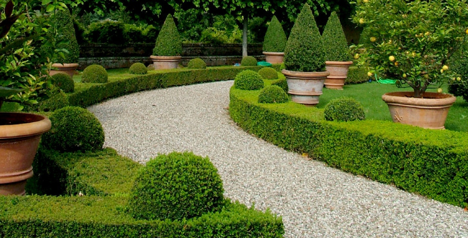 Boxwood borders, topiaries, low hedges