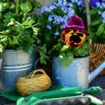 Each season has its gardening