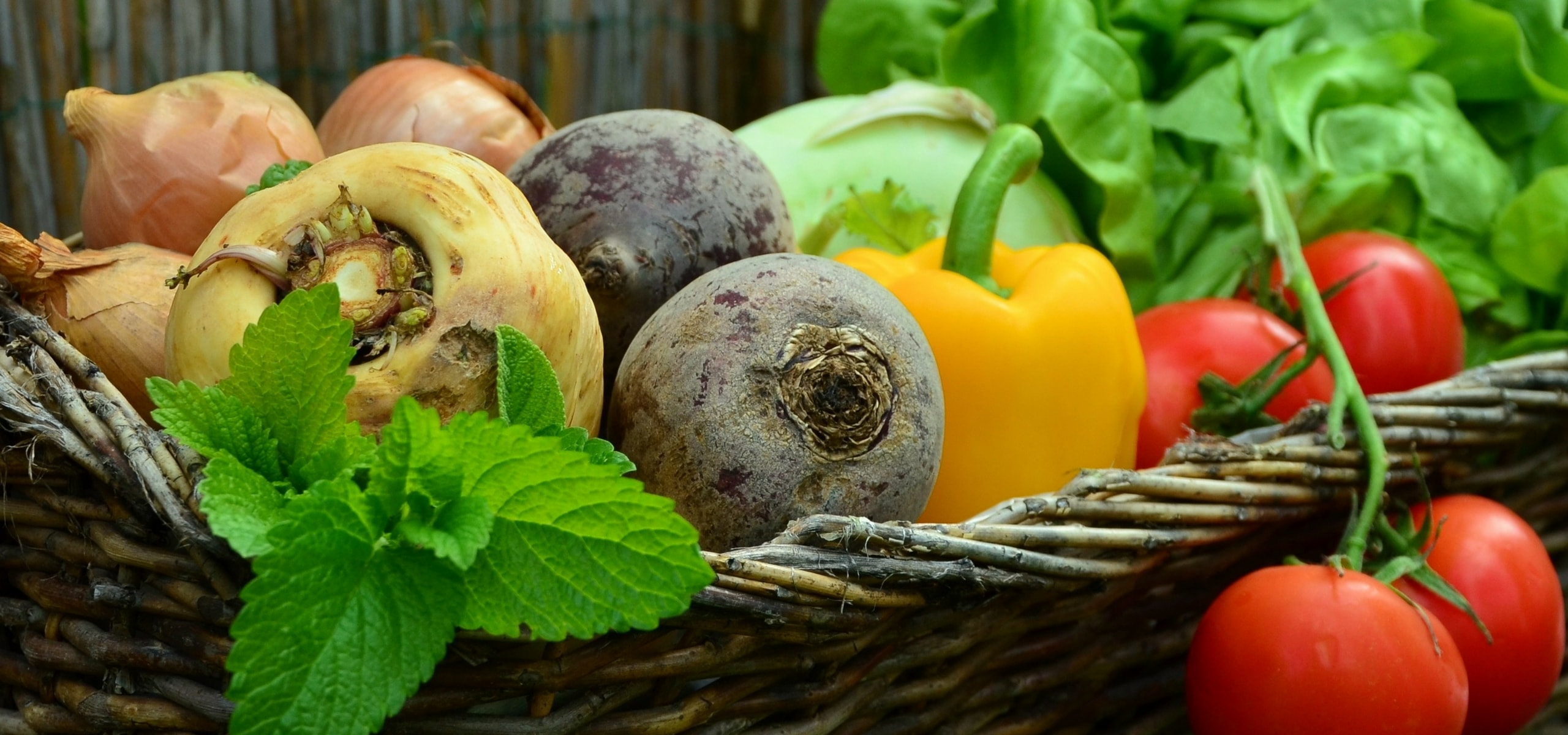 Square gardening: an easy and productive method to grow vegetables