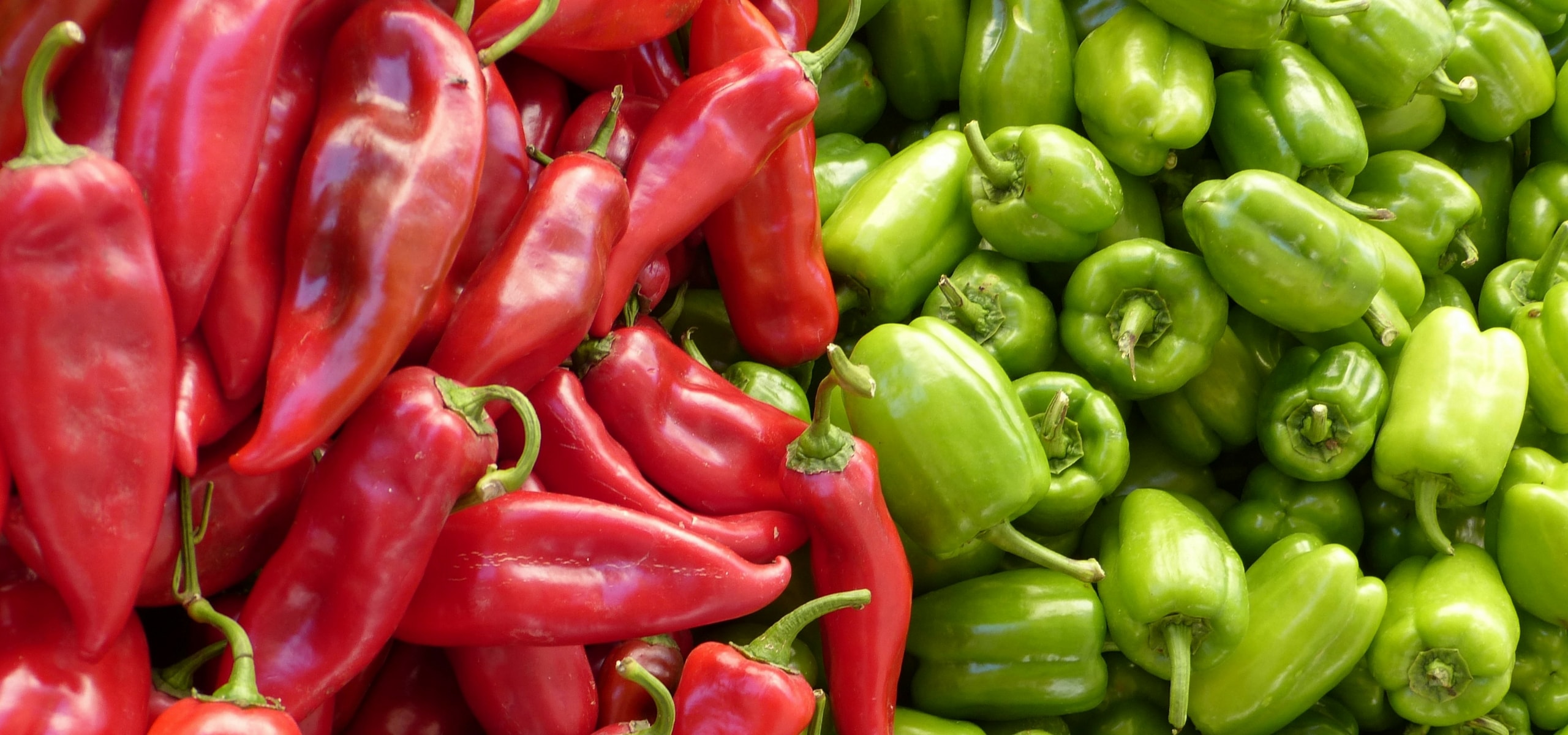 Succeeding in growing chillies and peppers