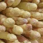 Succeeding in growing asparagus