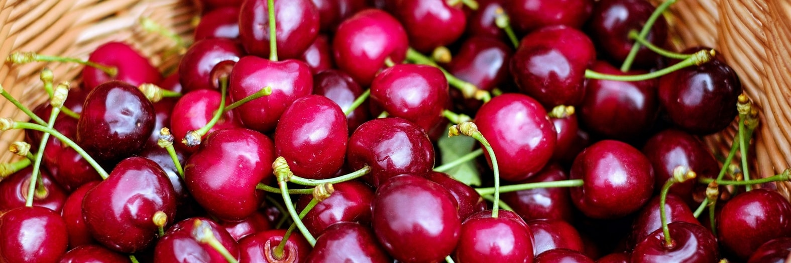 Preserving garden fruits