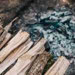 What to do with wood ashes in the garden?