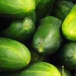 Cucumber and gherkin: sowing, planting, cultivation, pruning