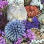 Dried flowers: which ones to choose, how to dry them and maintain your bouquets?