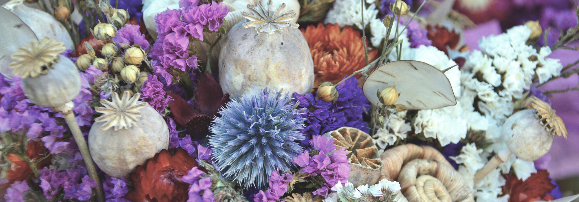 Dried flowers: which ones to choose, how to dry them and maintain your bouquets?