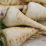 Parsnip: sowing, growing, harvesting and store