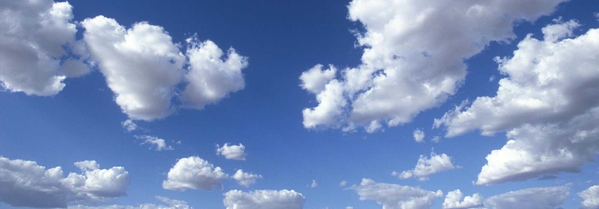 Hardy plants and hardiness