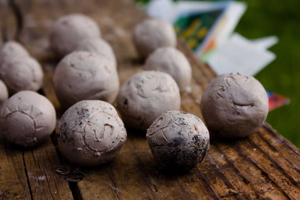How to make seed bombs - Illustrated tutorial