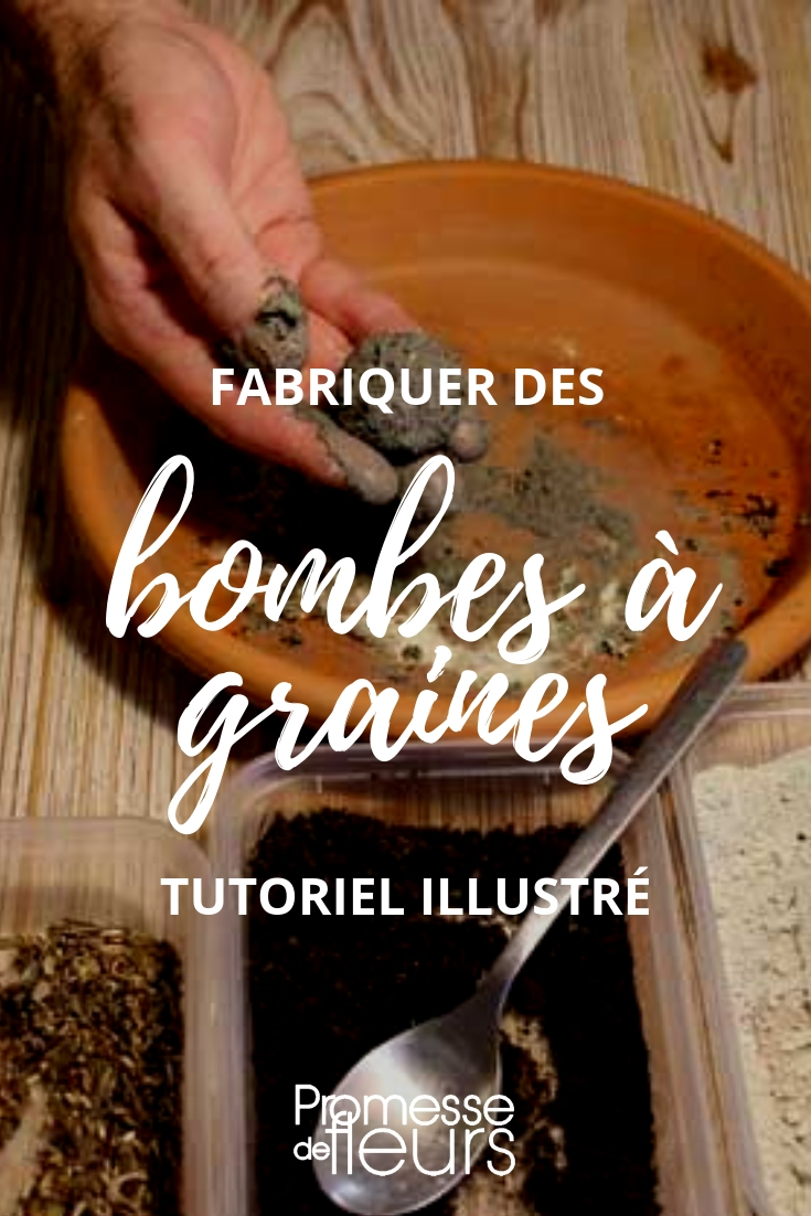 Seed Bombs: A Tutorial on How to Make Them