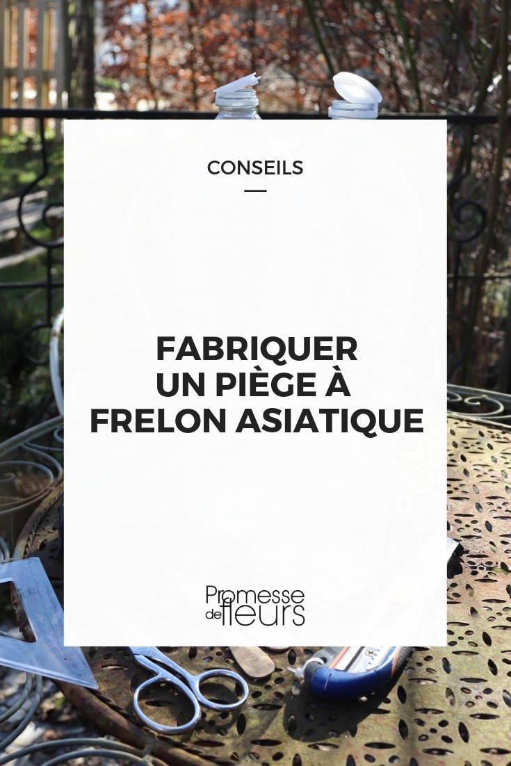 Creating an Asian Hornet Trap