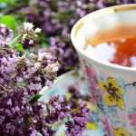 Tisane and infusion: which plants to grow in the garden ?