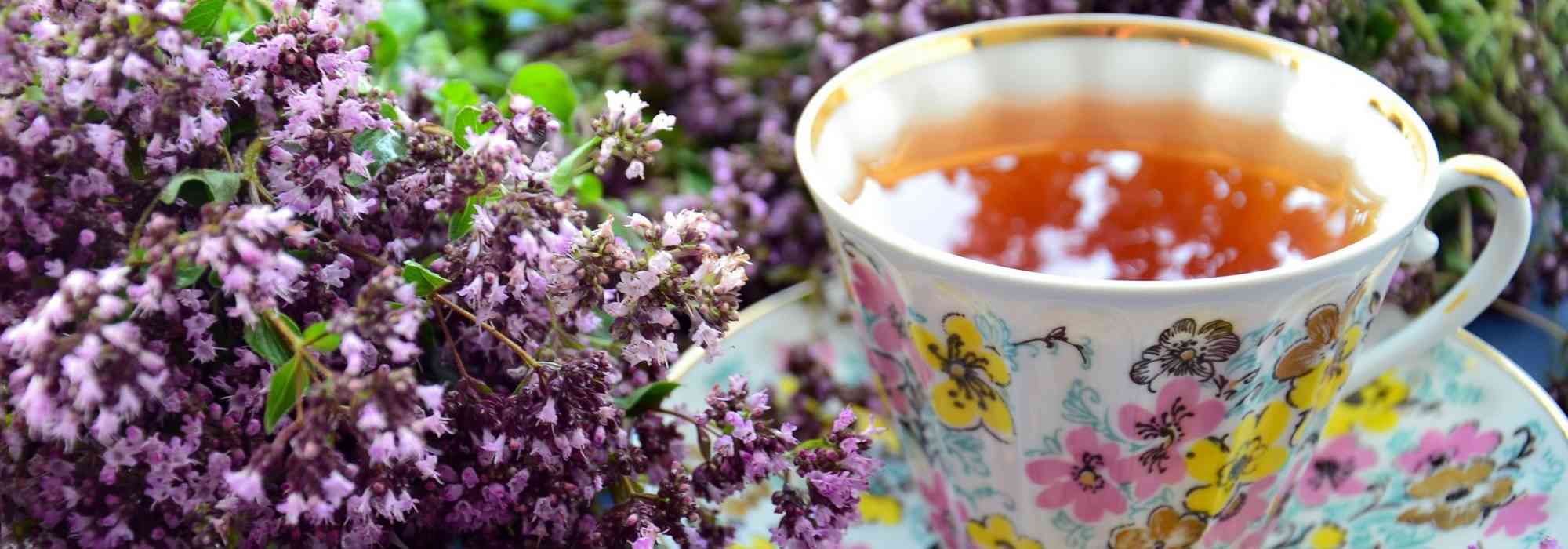 Tisane and infusion: which plants to grow in the garden ?