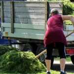 Garden waste: recycling solutions for the garden