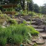 Create a rockery: our tips to get it right