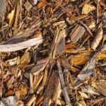 BRF or ramial chipped wood: what is it? How to use it in the garden?