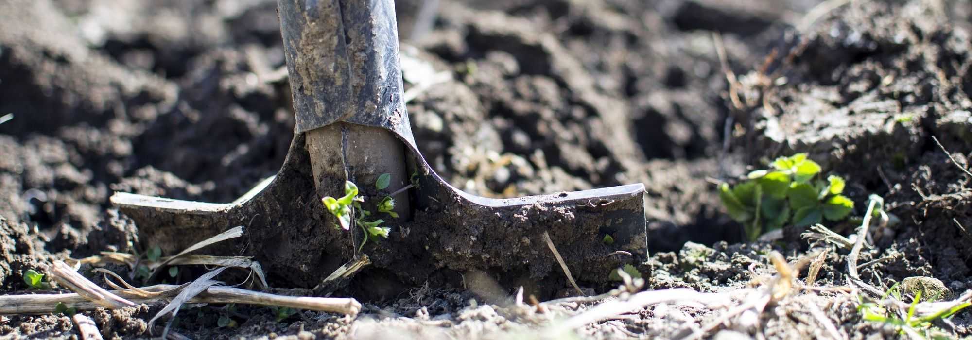 Gardening in heavy, wet soil