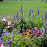 How to landscape an English garden?