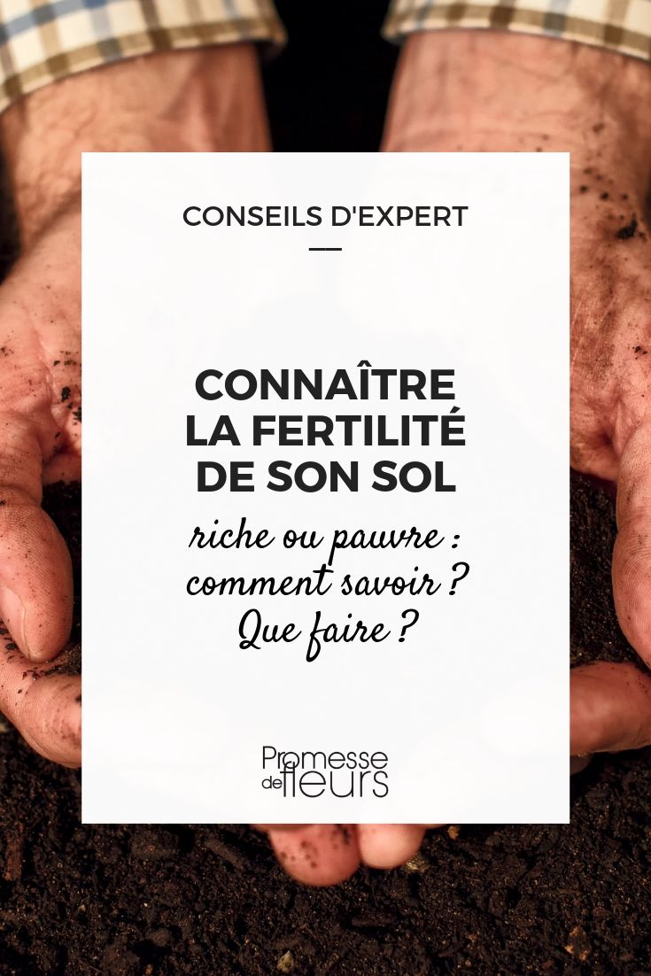 soil fertility: rich or poor