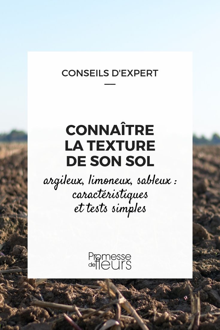 Soil Texture: Characteristics and Tests