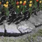 Garden edging: solutions, advantages, disadvantages