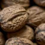 Walnut, Juglans regia: planting, pruning and care