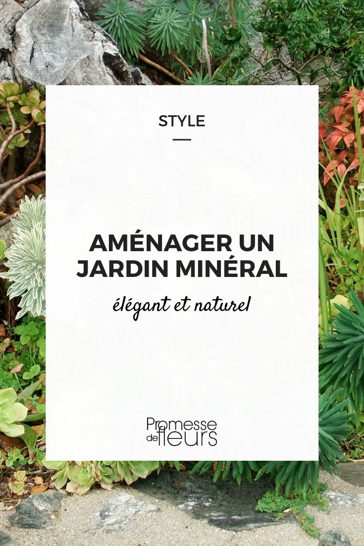 Mineral Garden: How to Design It