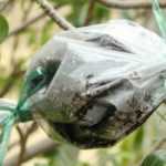 Layering: how to do it?