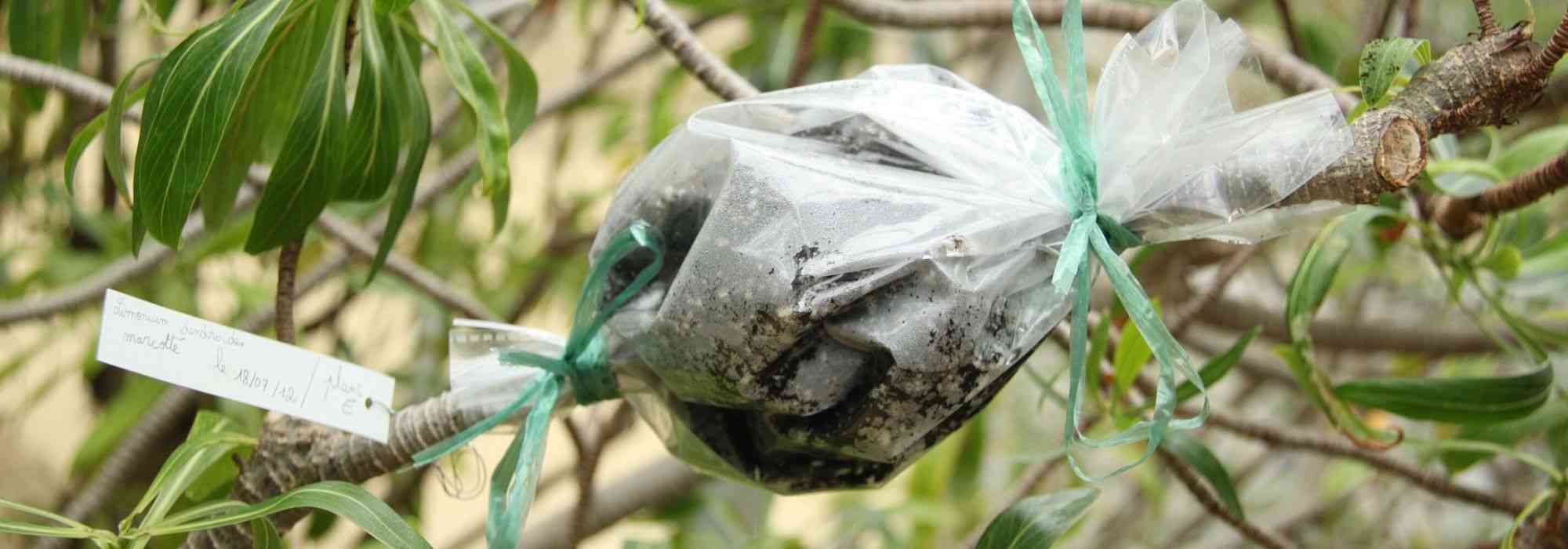 Layering: how to do it?