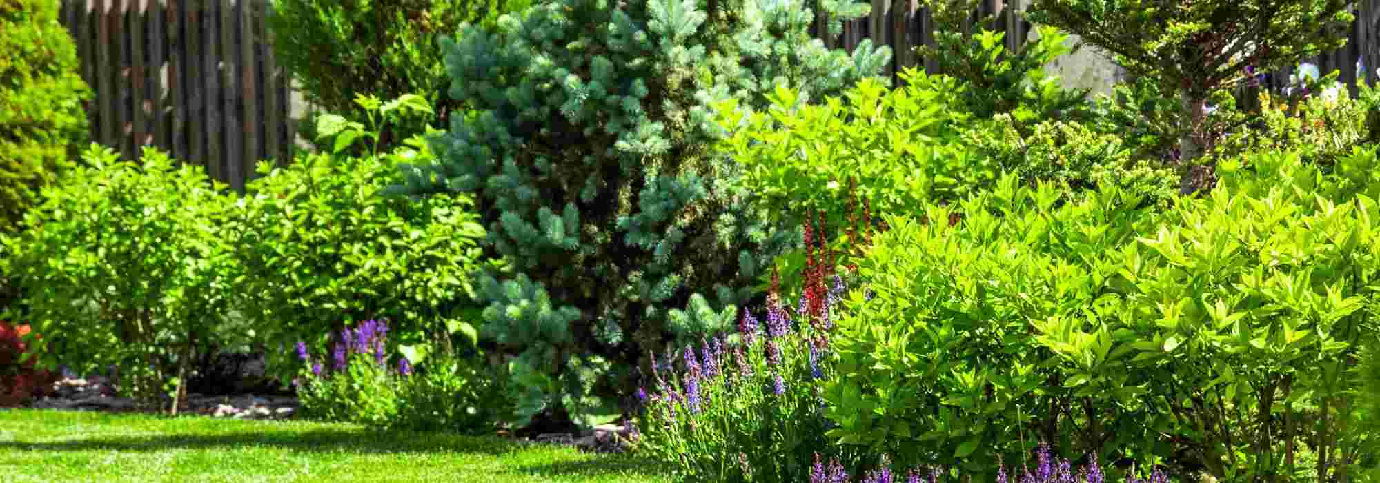 Garden in a housing estate: how to lay out and personalise?