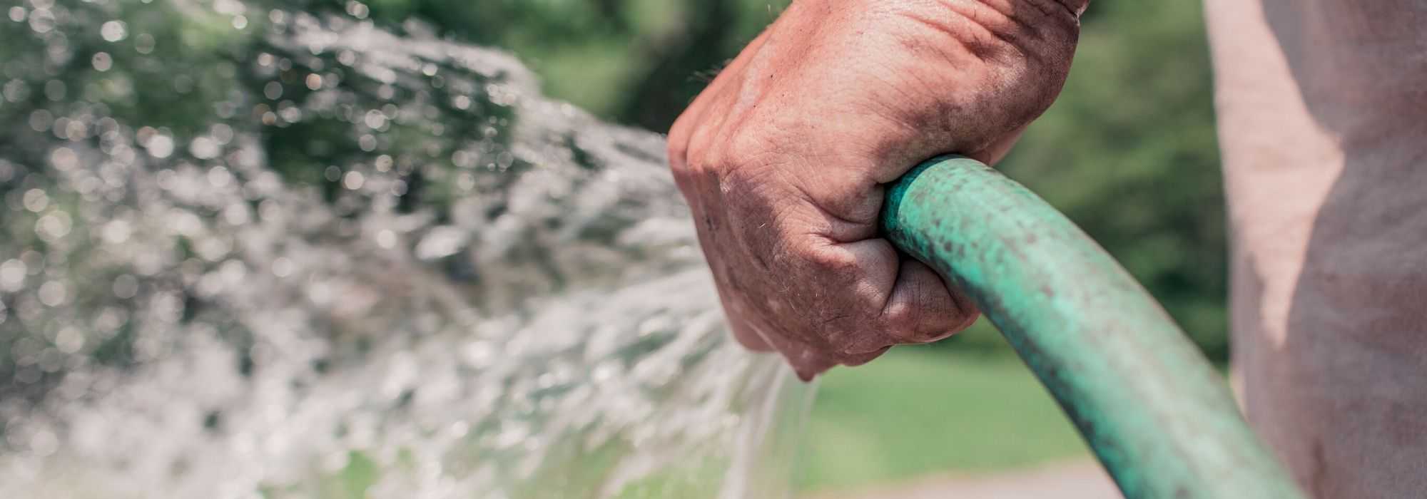 Watering the garden: how to do it?