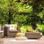 Which trees should not be planted near a terrace?