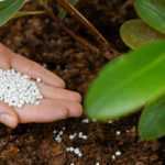 Balcony, terrace and small gardens: potting compost and fertilisers perfect for small spaces