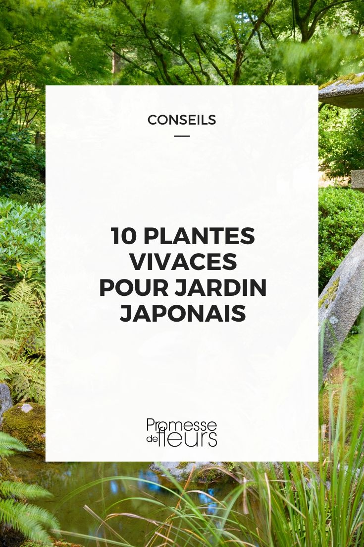 Japanese Garden: 10 Ideal Perennial Plants