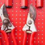 Choosing the right pruning shears