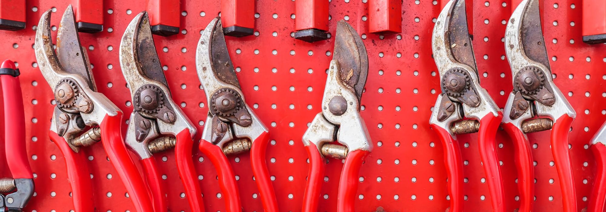 Choosing the right pruning shears