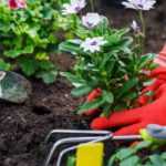 Gardening: how to avoid accidents?