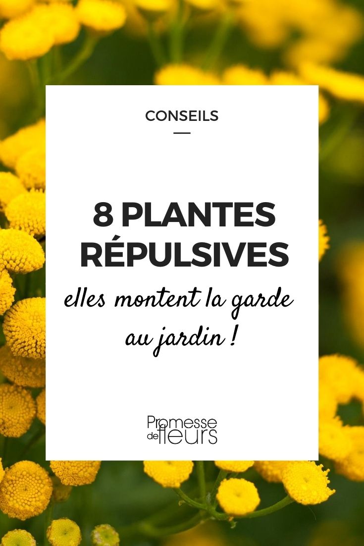 8 Repellent Young Plants