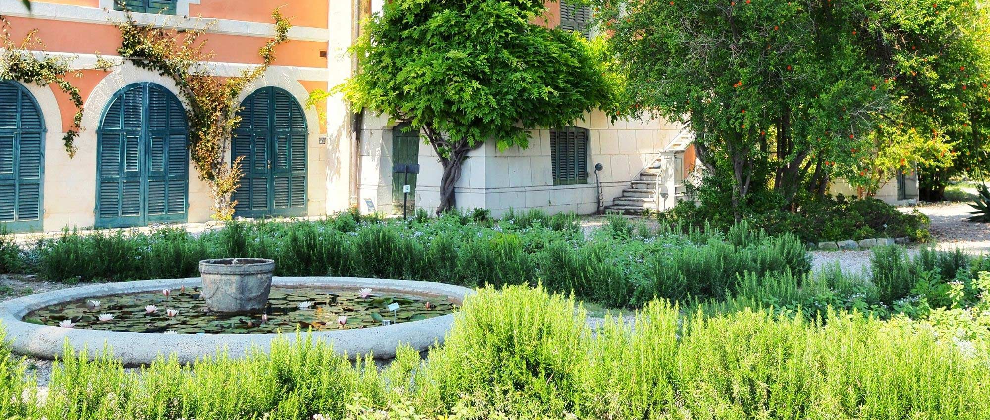 7 tips for creating a successful Mediterranean garden