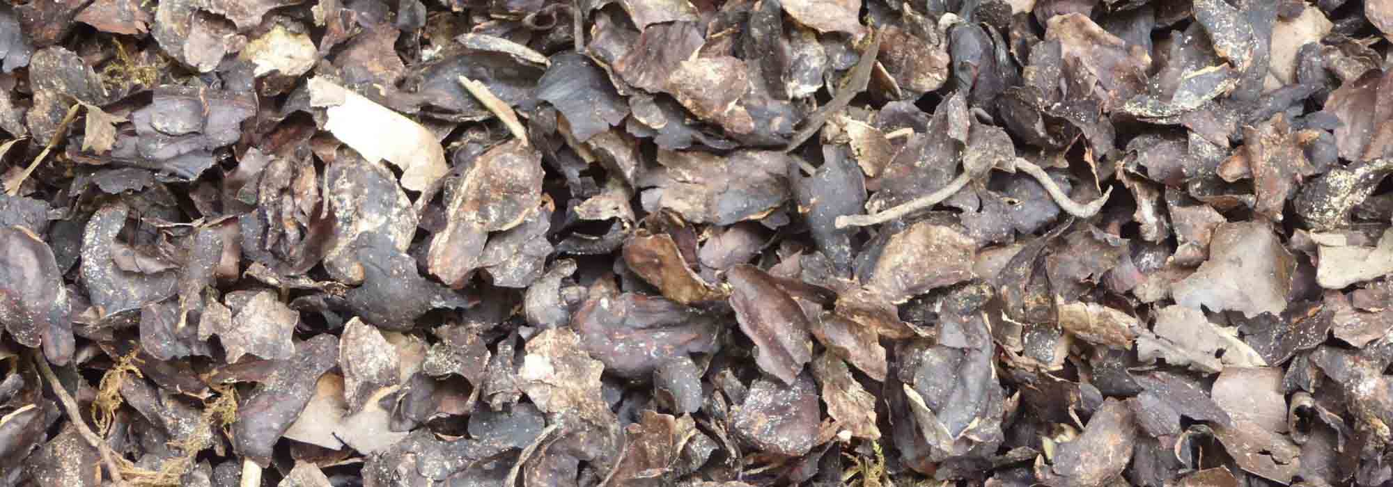 Decorative mulch: it adds style to the garden!