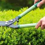 Manual hedge trimmer: which shear to choose ?