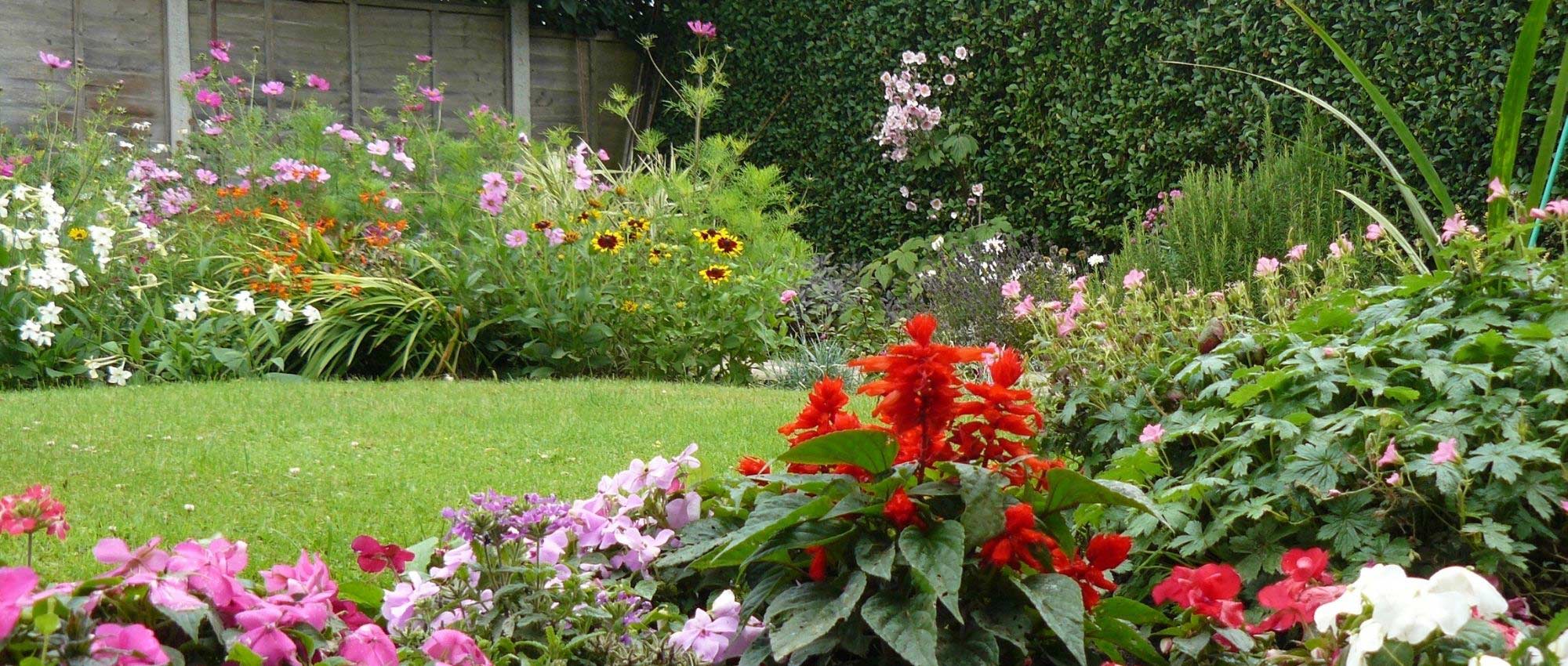 Planting density: everything you need to know