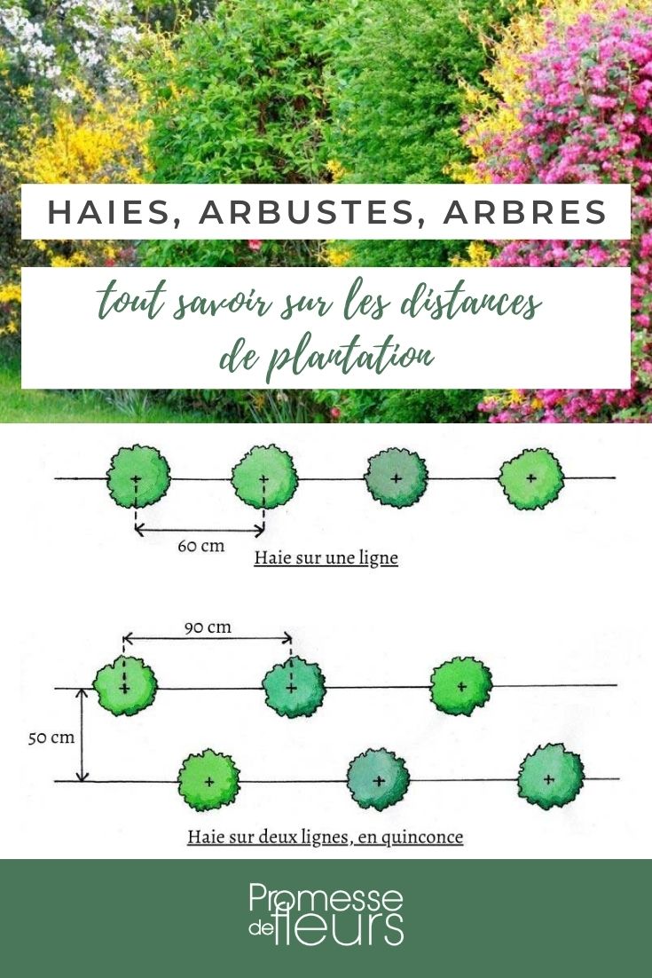 planting distances