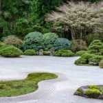 Mineral garden: 7 ideal bushes!