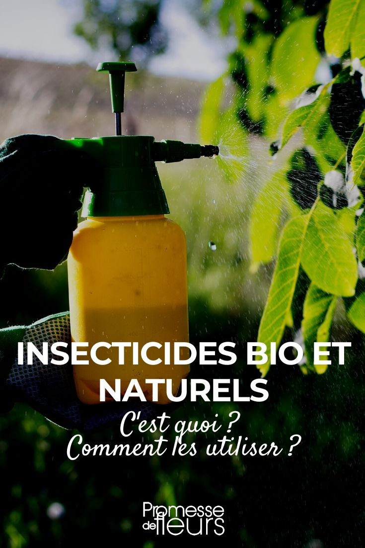 Organic and Natural Insecticidals