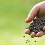 Crushed horn, dried blood, guano... what are these fertilisers used for in the garden and vegetable patch?