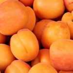 Apricot tree: the best varieties