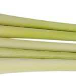 Lemongrass: sowing, growing, harvest