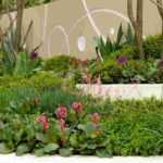 5 planting tips for a graphic and modern garden